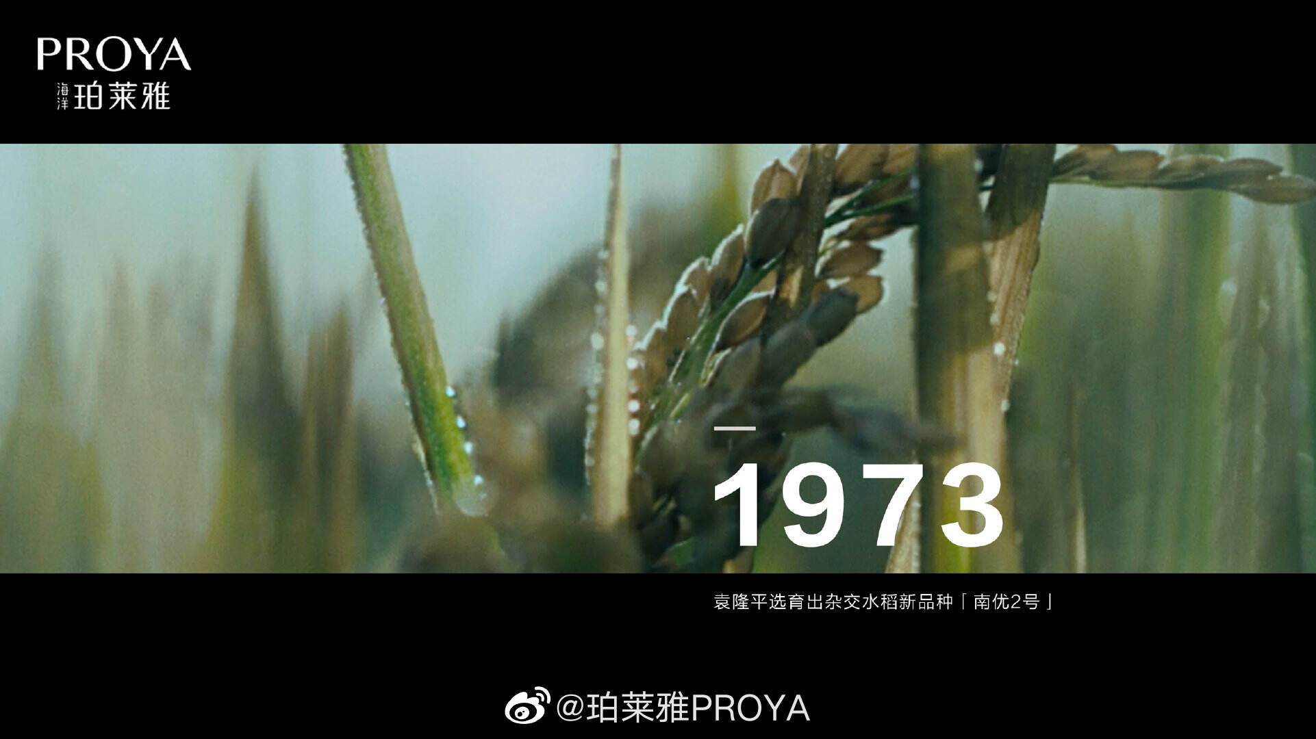 珀莱雅联合郝景芳致敬每一个去发现的人-广告人干货库