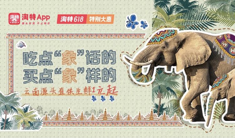 淘特带你「一路象北」过「象往的生活」-广告人干货库