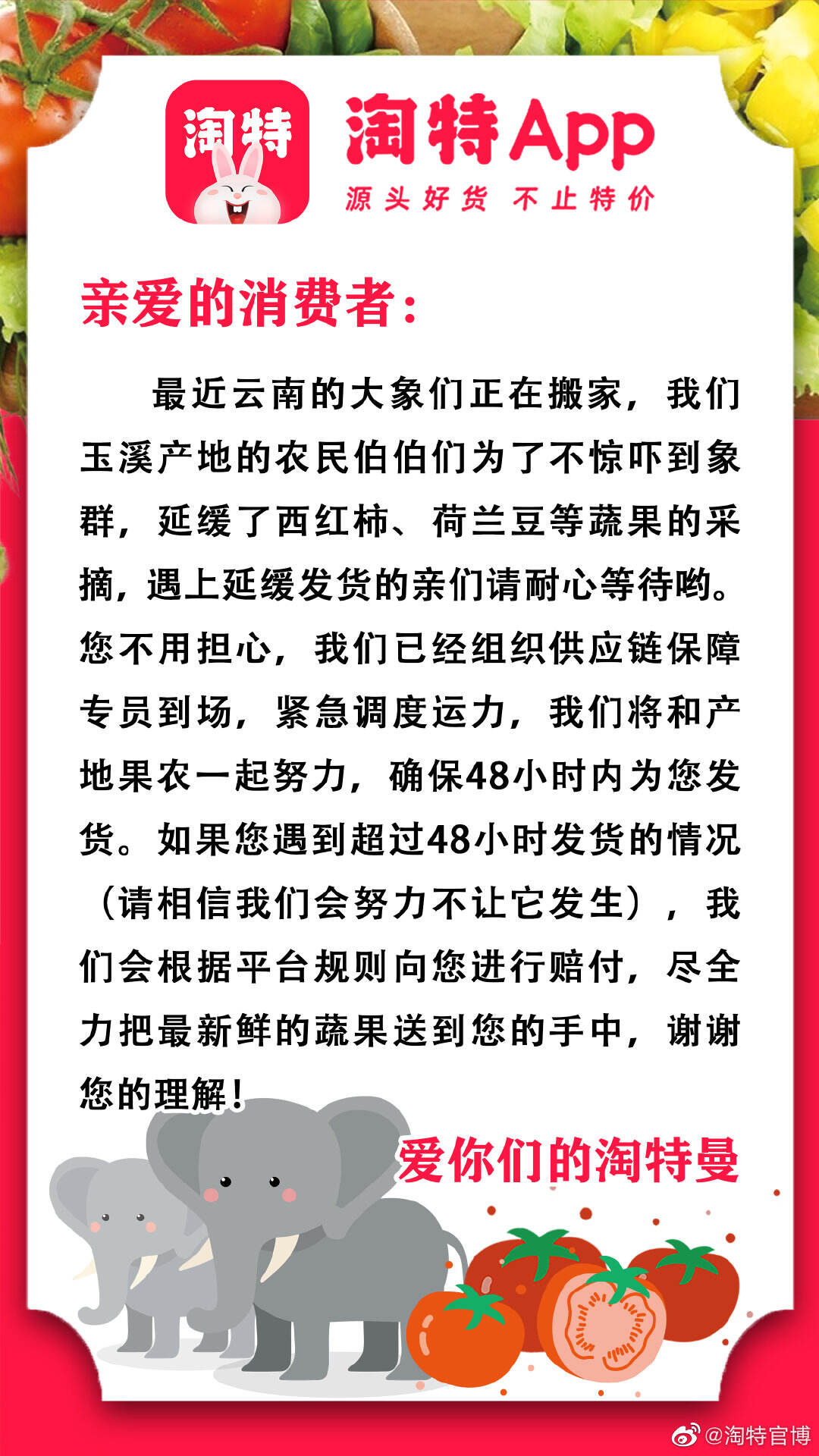 淘特带你「一路象北」过「象往的生活」-广告人干货库