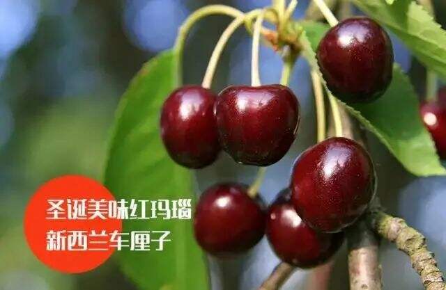广告人干货库 5大心理学效应,帮你破译品牌营销密码-广告人干货库