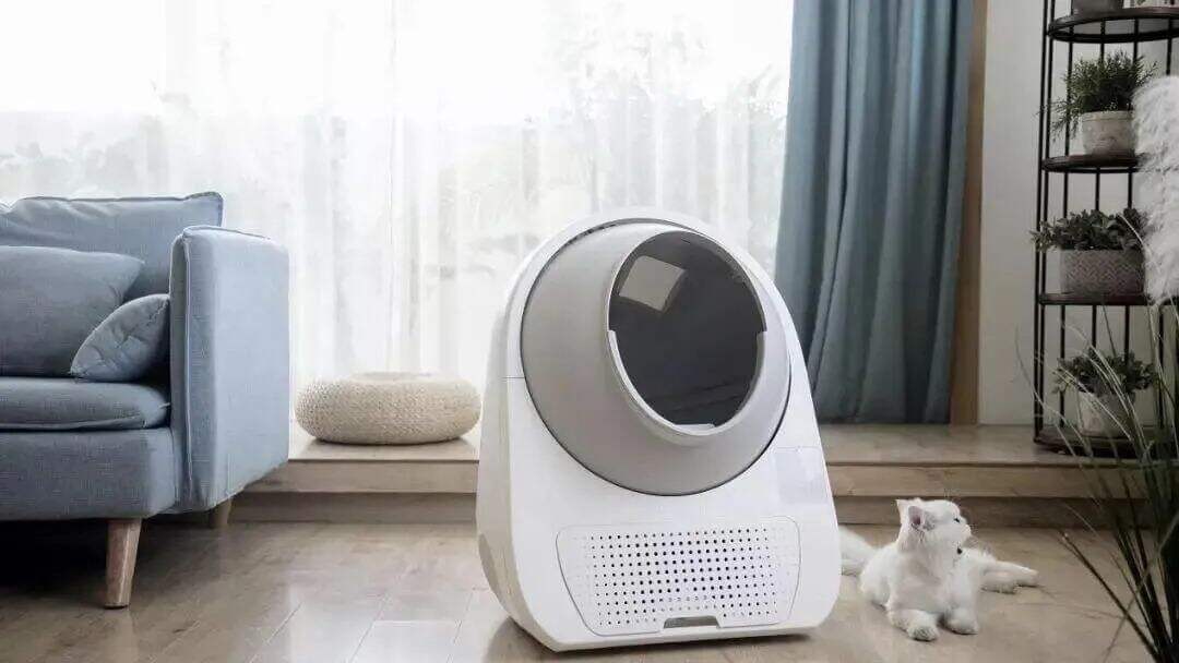 广告人干货库 618期中大考成绩出炉:我们整理了37个新锐品牌的高分答案-广告人干货库
