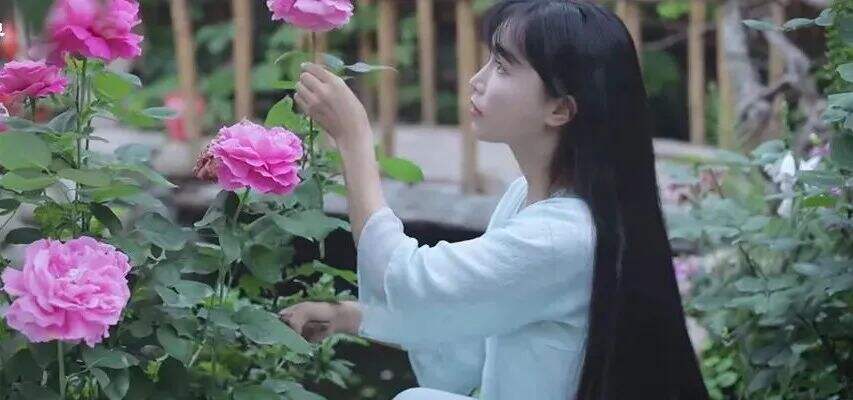 字节跳动，刚刚投了李子柒-广告人干货库