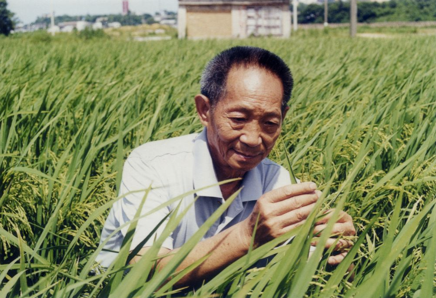 广告人干货库