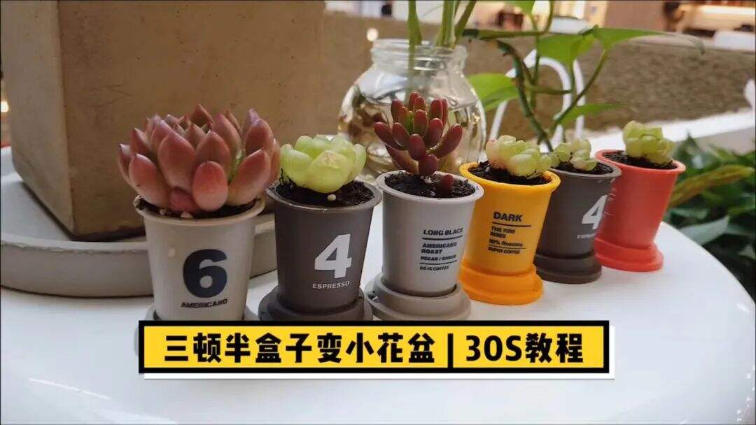 广告人干货库 三顿半:站在星巴克的对立面思考-广告人干货库