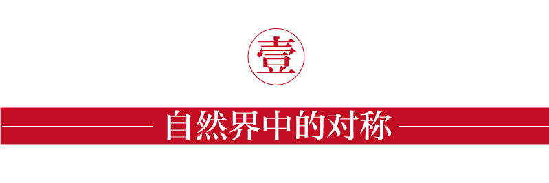 广告人干货库 运用“对称”快速做设计-广告人干货库