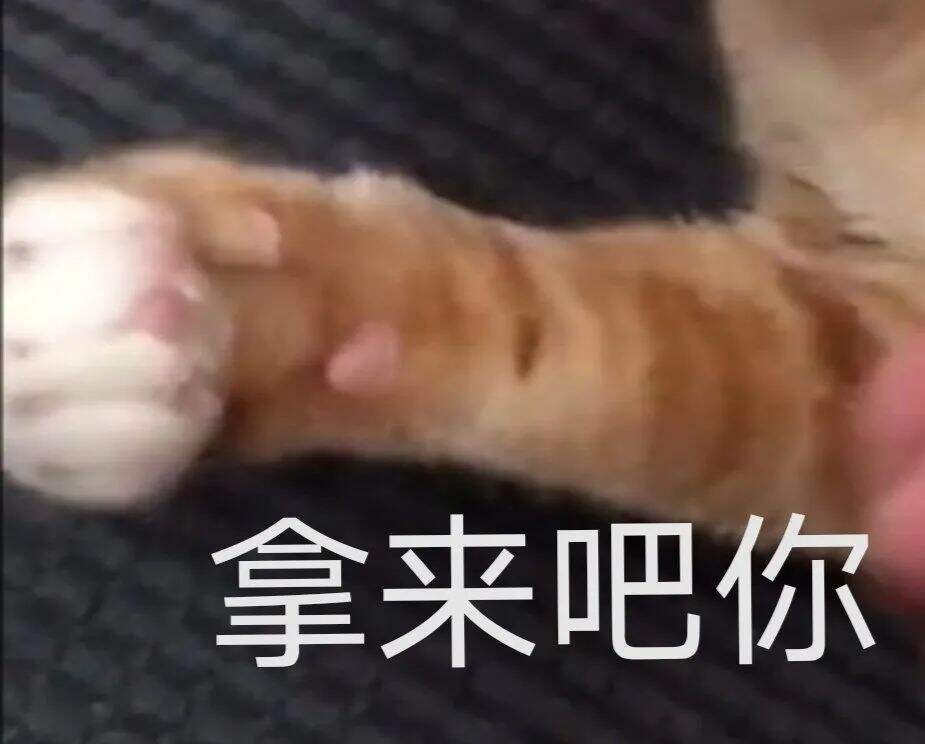 广告人干货库 “拿来吧你”是什么梗!快来get!-广告人干货库