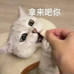 广告人干货库 “拿来吧你”是什么梗!快来get!-广告人干货库