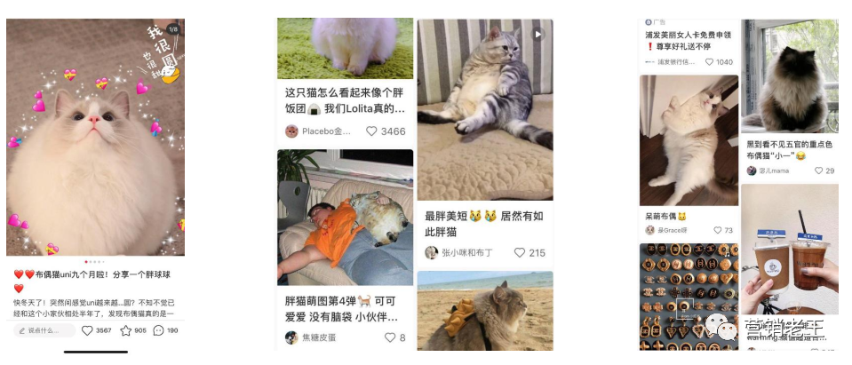 七大模块教你新品通过AISAS模型起盘小红书，月销破100万-广告人干货库