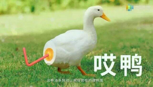 老字号及传统食品如何利用新消费浪潮顺势破圈？-广告人干货库