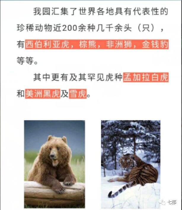 广告人干货库 如何做好用户运营,提高顾客满意度?-广告人干货库