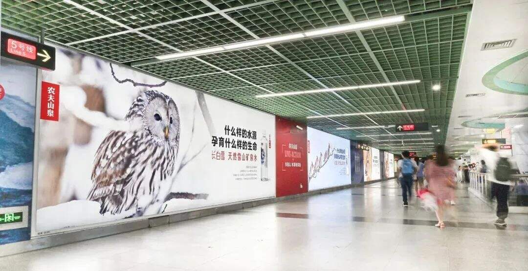 广告人干货库 电梯盲盒、户外空调...这些广告太拼了-广告人干货库