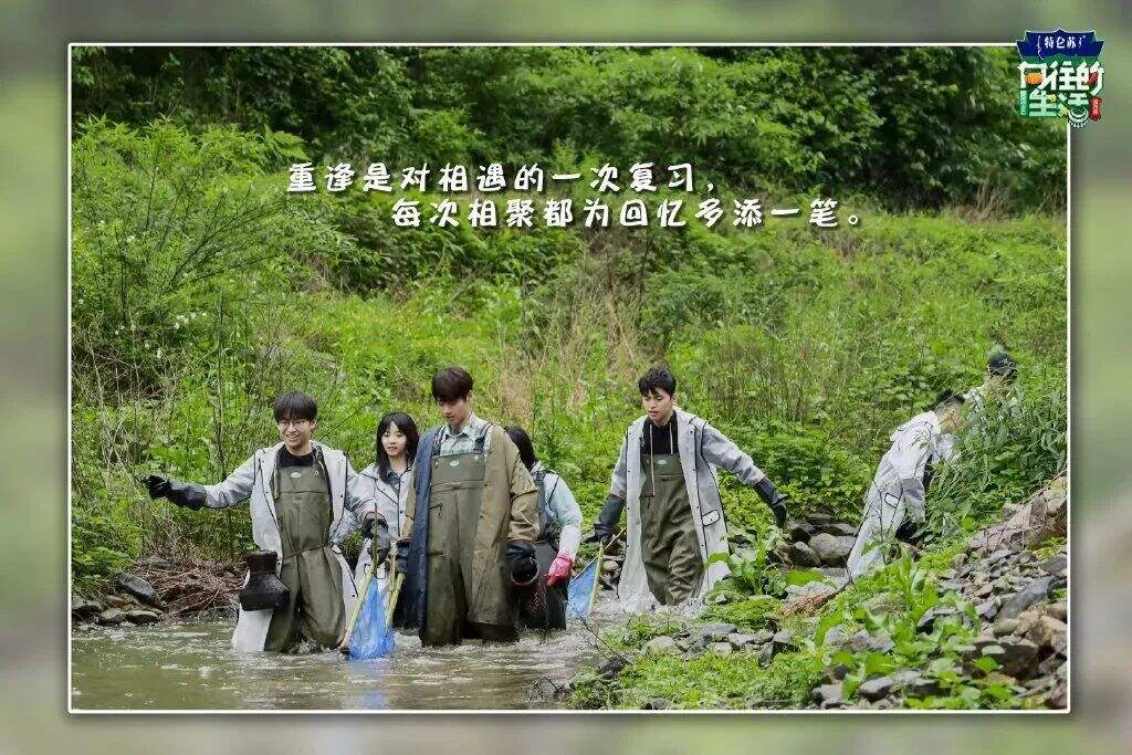 广告人干货库 重温《向往的生活5》,这50句文案令人印象深刻!-广告人干货库