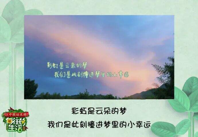 广告人干货库 重温《向往的生活5》,这50句文案令人印象深刻!-广告人干货库