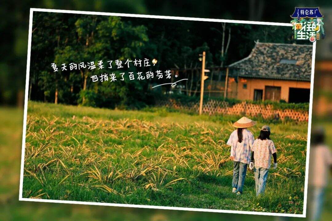 广告人干货库 重温《向往的生活5》,这50句文案令人印象深刻!-广告人干货库