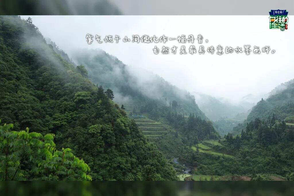 广告人干货库 重温《向往的生活5》,这50句文案令人印象深刻!-广告人干货库