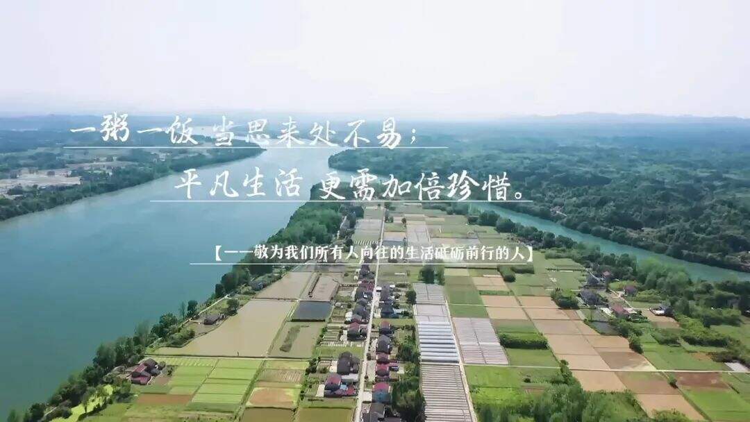 广告人干货库 重温《向往的生活5》,这50句文案令人印象深刻!-广告人干货库