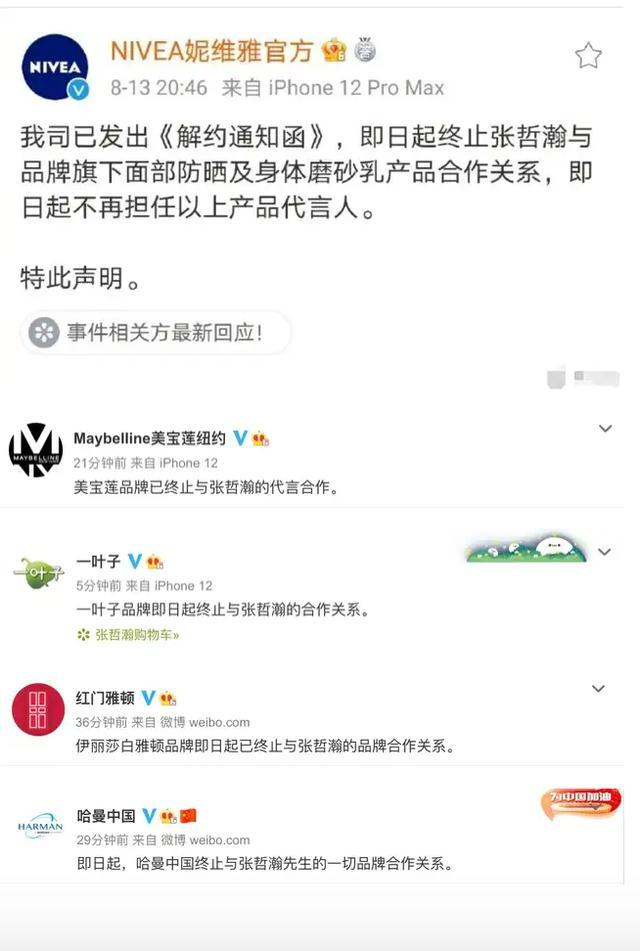 多家品牌终止与张哲瀚合作-广告人干货库
