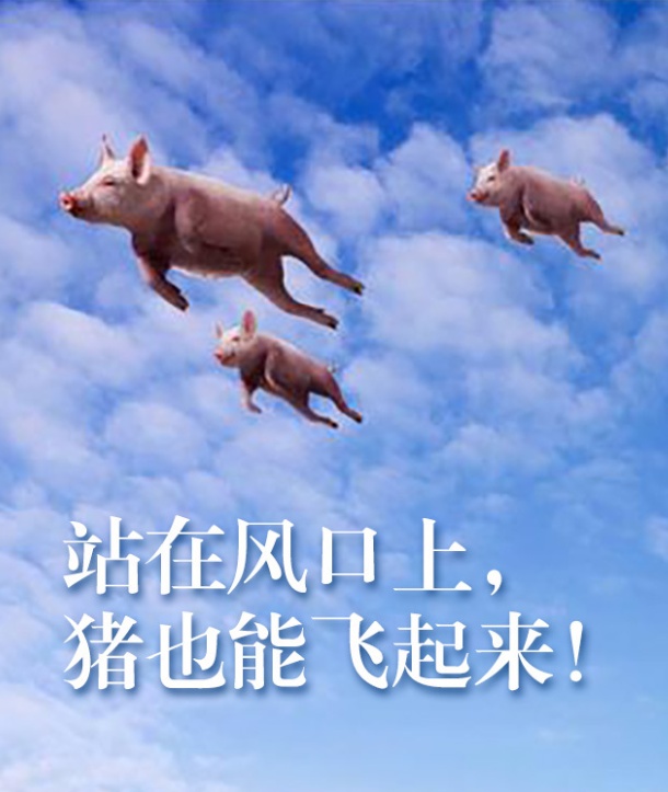 广告人干货库 八大品牌焦虑-广告人干货库