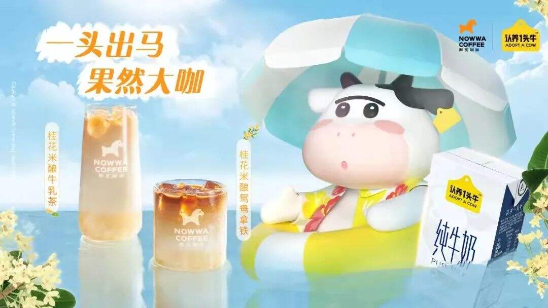 「认养一头牛」×大众精品咖啡品牌「NOWWA」推出联名新品-广告人干货库
