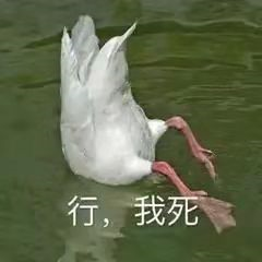 广告人干货库 避孕套为什么总爱放在收银台旁边??-广告人干货库