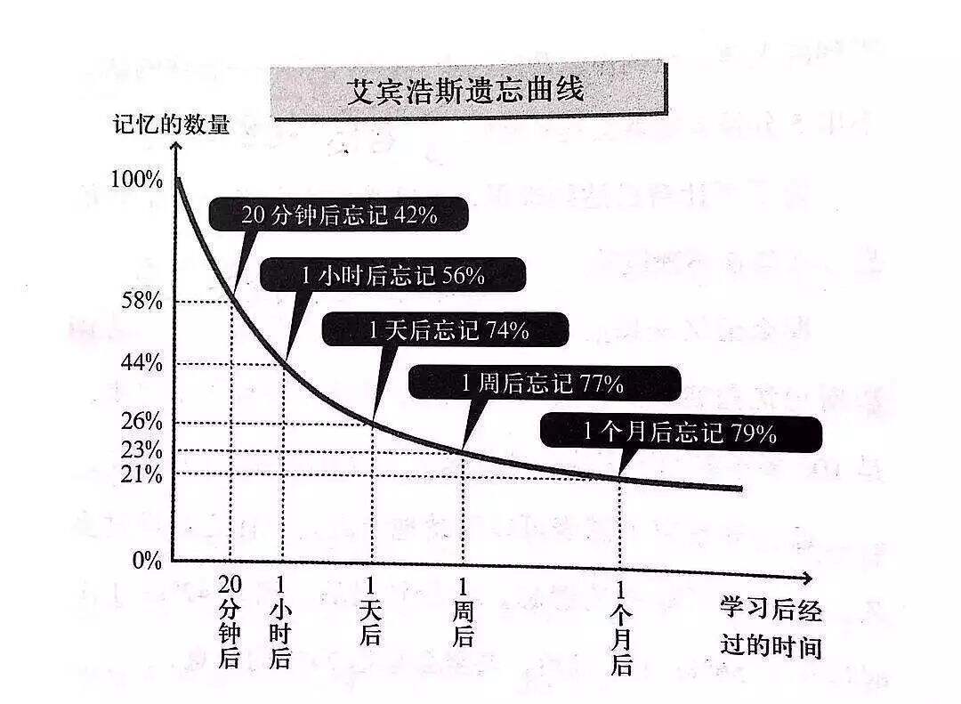 广告人干货库 营销投入,要不要谈转化?-广告人干货库