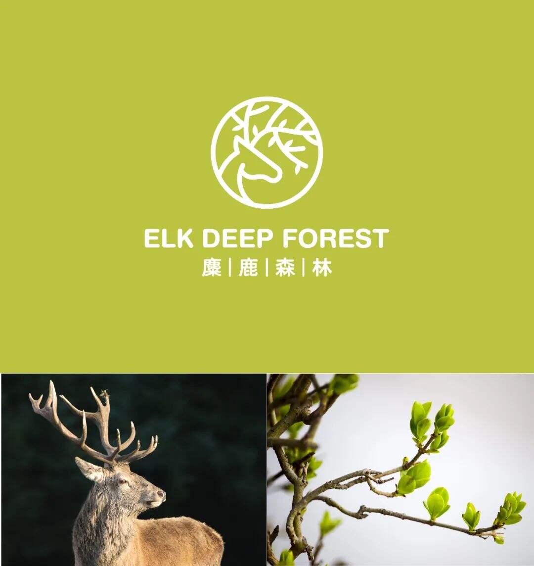 广告人干货库 8个案例实操,两张图片就是一个LOGO-广告人干货库