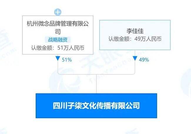 广告人干货库 李子柒和mcn闹翻,损失的究竟是资本还是李子柒?-广告人干货库