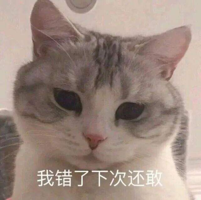 广告人干货库 李子柒和mcn闹翻,损失的究竟是资本还是李子柒?-广告人干货库