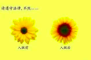 广告人干货库 好文案,是人性的矿工-广告人干货库