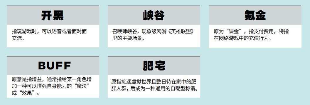 广告人干货库 13种典型的「青年文化」标签-广告人干货库
