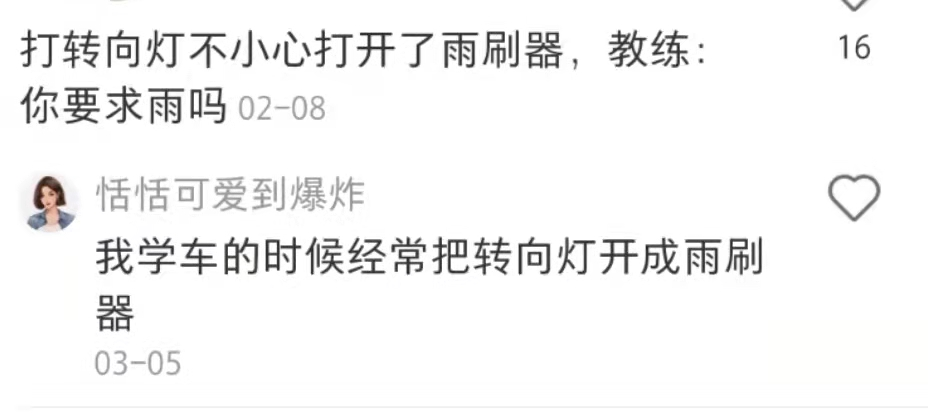 广告人干货库 驾校教练怼人语录,有画面了-广告人干货库