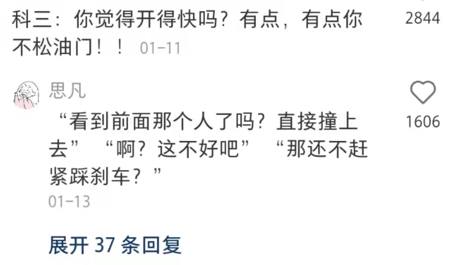 广告人干货库 驾校教练怼人语录,有画面了-广告人干货库