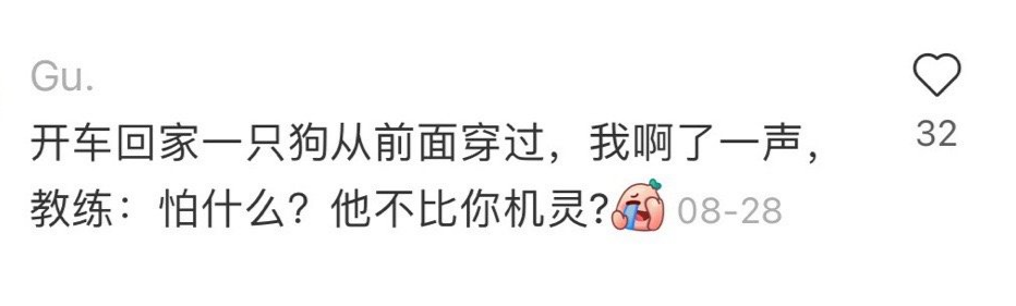 广告人干货库 驾校教练怼人语录,有画面了-广告人干货库