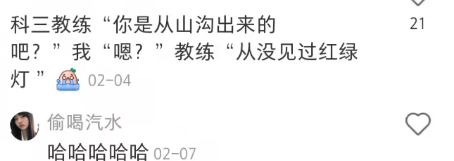 广告人干货库 驾校教练怼人语录,有画面了-广告人干货库