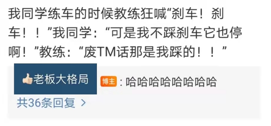 广告人干货库 驾校教练怼人语录,有画面了-广告人干货库