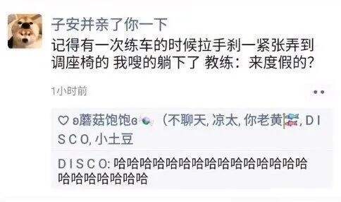 广告人干货库 驾校教练怼人语录,有画面了-广告人干货库