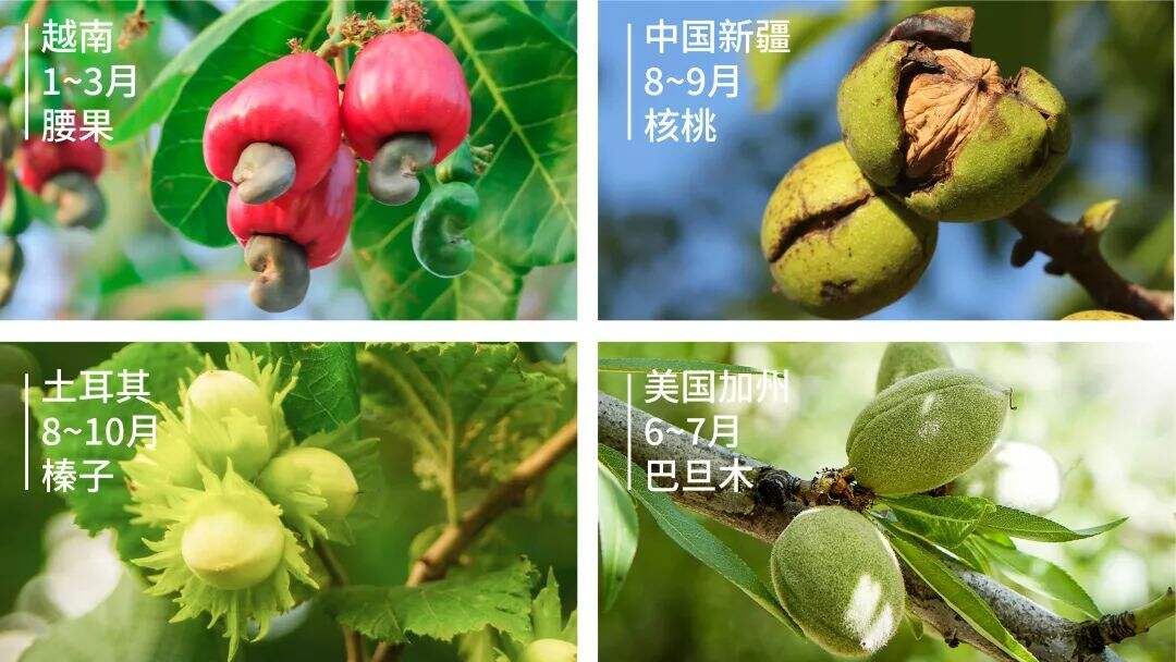 广告人干货库