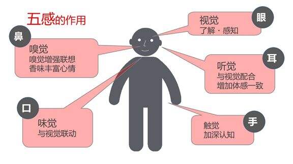零售空间打动人心，视觉占比83%-广告人干货库