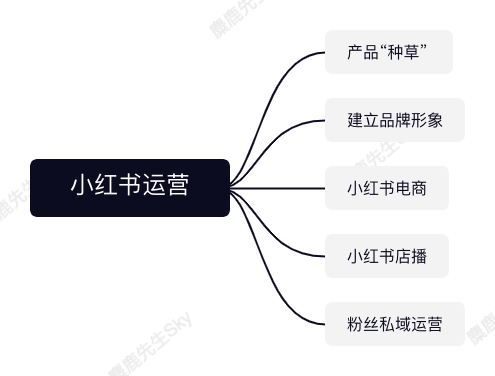 广告人干货库 品牌方的小红书运营团队组织架构设计方案-广告人干货库