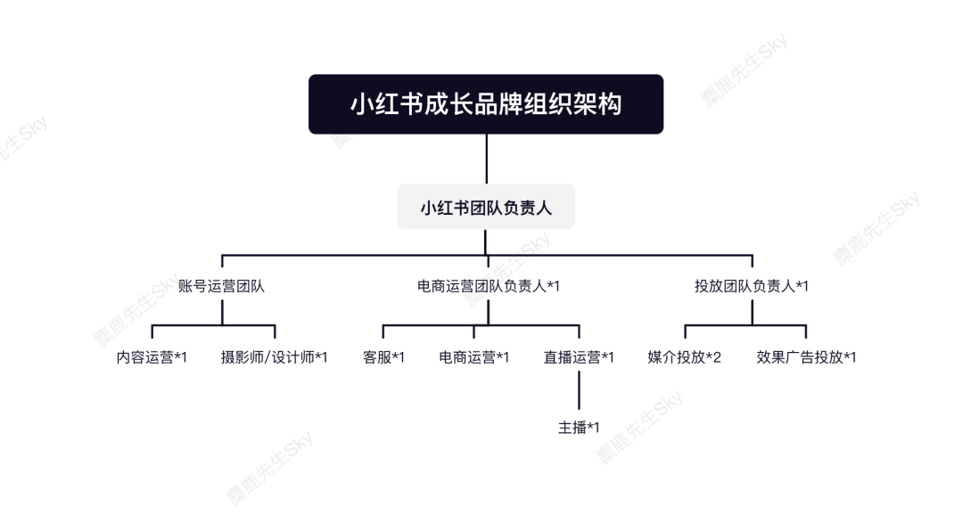 广告人干货库 品牌方的小红书运营团队组织架构设计方案-广告人干货库