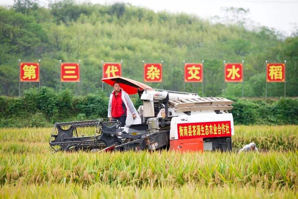 广告人干货库 干货早报:小红书致歉;得物App用户信息泄露;网红代言翻车-广告人干货库