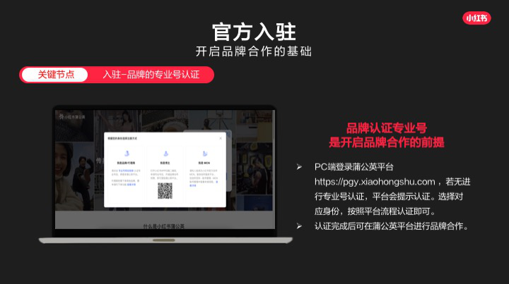 广告人干货库 干货 | 双11,在小红书打响营销第一枪-广告人干货库