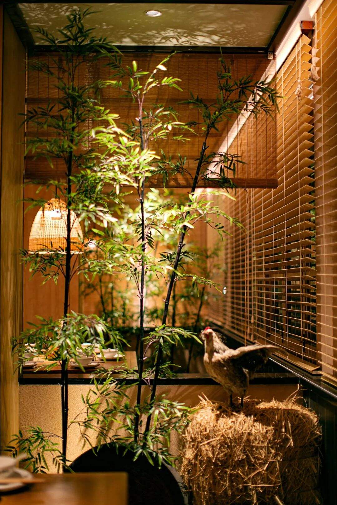广告人干货库 这个佬麻雀旗下的湘菜品牌设计,从一只土鸡进城的故事开始讲起!-广告人干货库