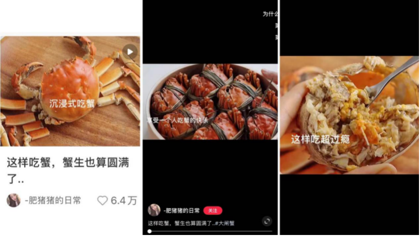 小红书爆文拆解：爆文规则改了，都变了天-广告人干货库