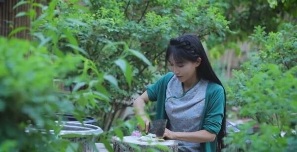 微念向子柒文化公司陆续转让李子柒商标-广告人干货库