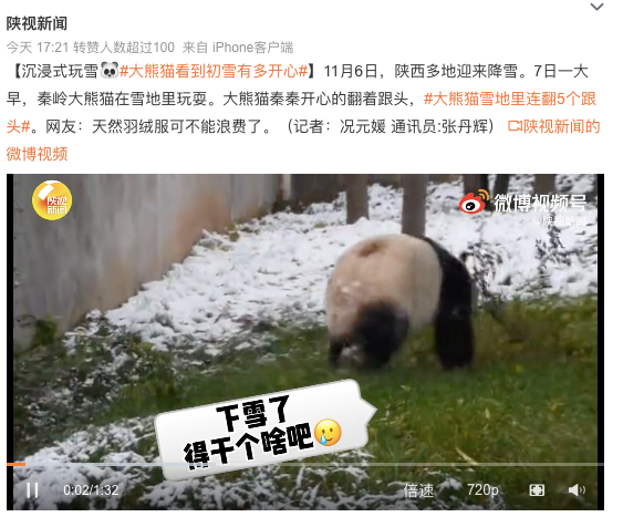 广告人干货库 创意有点平?把主角换成动物试试!-广告人干货库