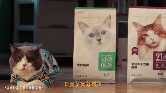广告人干货库 创意有点平?把主角换成动物试试!-广告人干货库