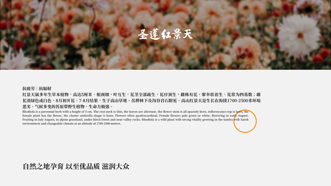 广告人干货库 药品包装不需要复杂的设计,简单也是一种时尚!-广告人干货库