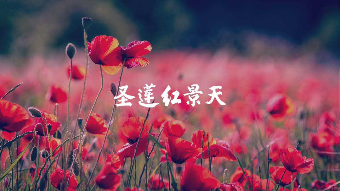 广告人干货库 药品包装不需要复杂的设计,简单也是一种时尚!-广告人干货库