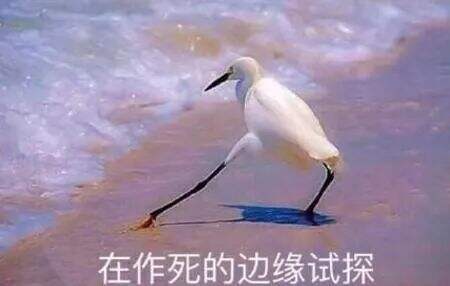 广告人干货库 碰杯饮酒广告被罚25万,百威冤不冤?-广告人干货库
